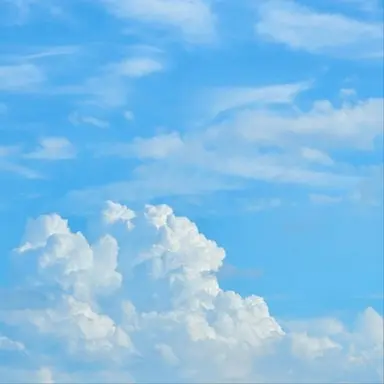 Profile image of 하름고등학교