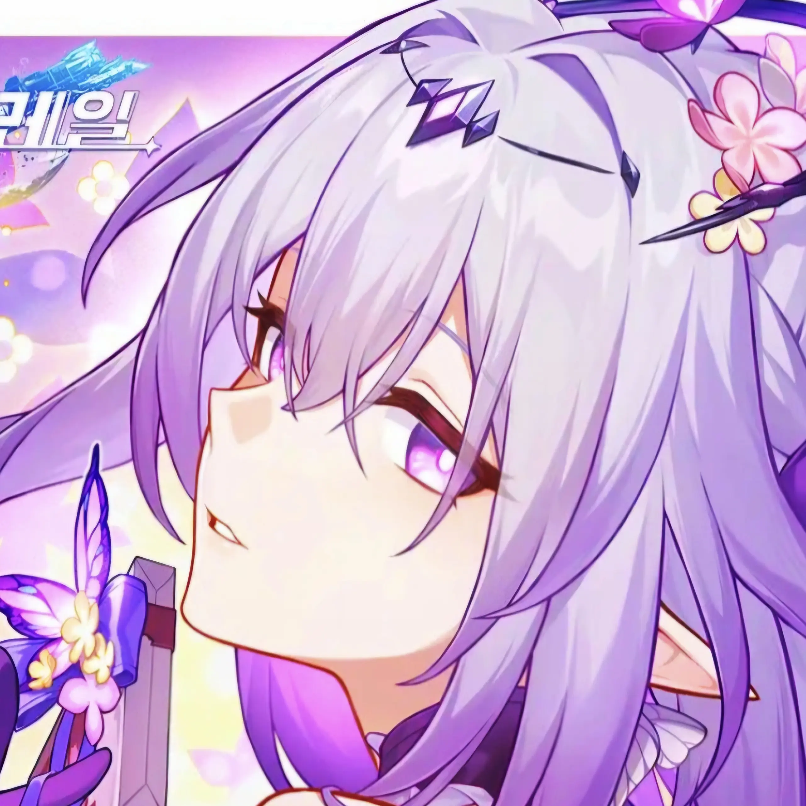 Hsrsenter의 카스토리스