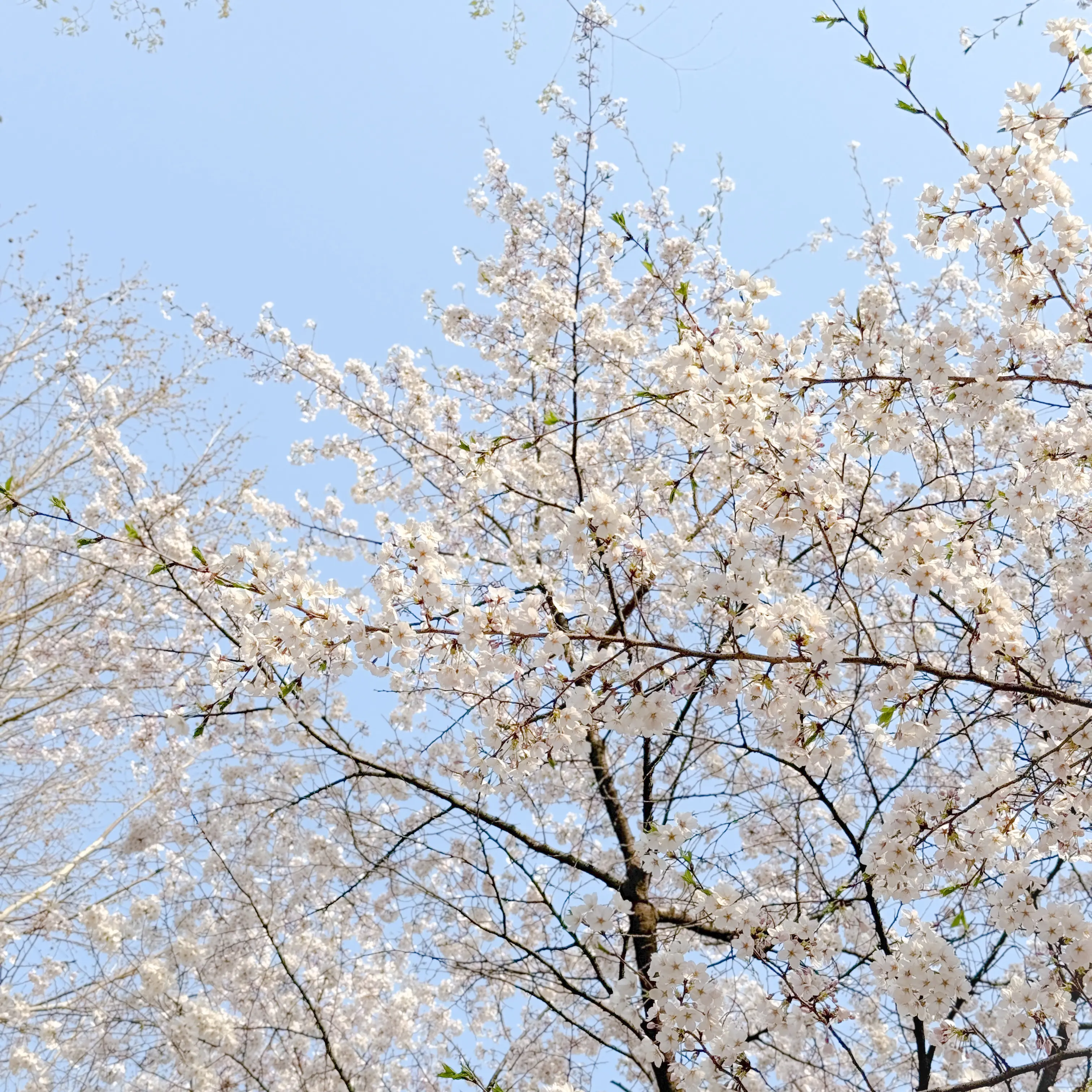 HerbalMine5069의 뭐만하면 때리는 남친