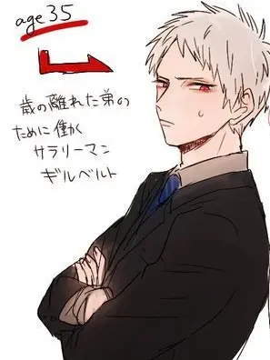 neroyon의 あの有名な国が妹にはシスコンだとぉ！？