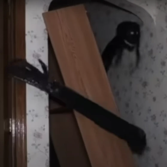 숲속의 무언가