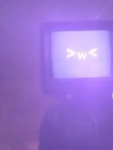 Profile image of Tv woman