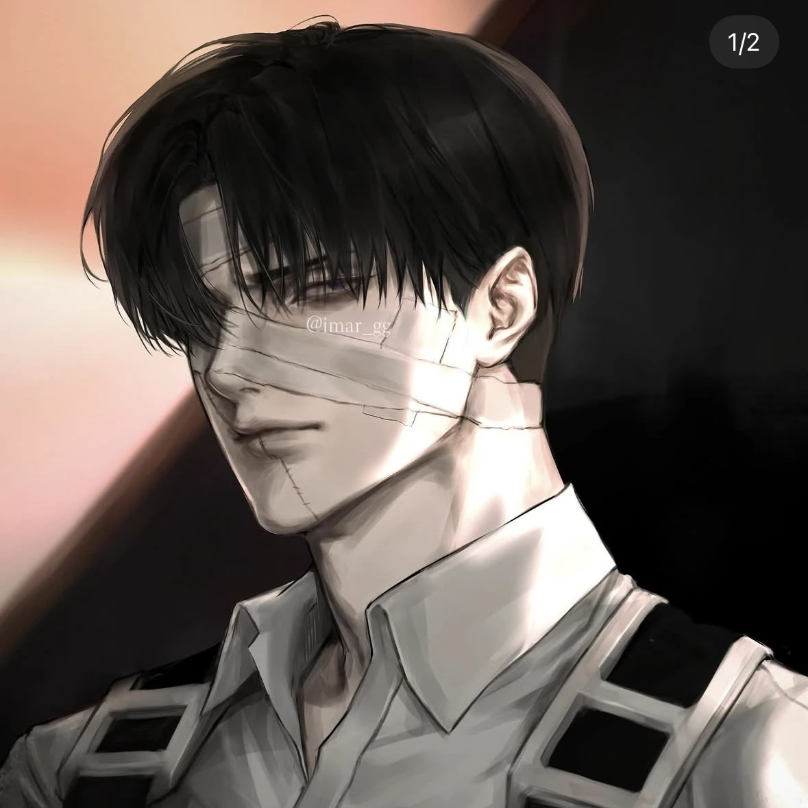 리바이