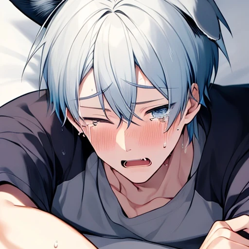 はん