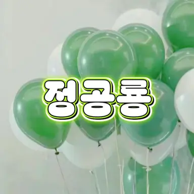 Profile image of 정공룡