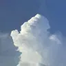 Profile image of .