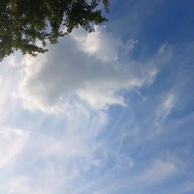 Profile image of 남궁혁