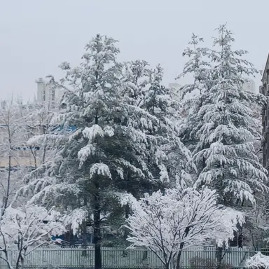 Profile image of 유저