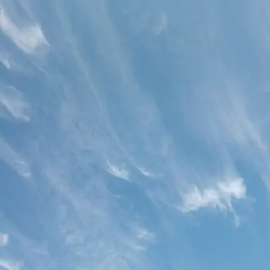 Profile image of 카이