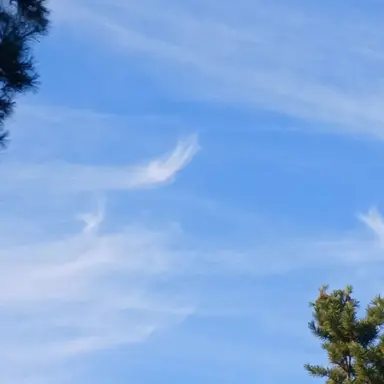 Profile image of 이규민