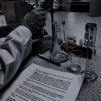 Profile image of 트라이안