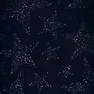 Profile image of 翔太