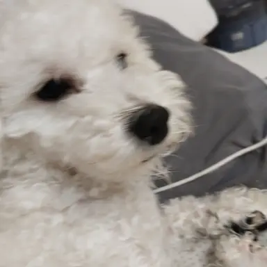 Profile image of 사회쌤
