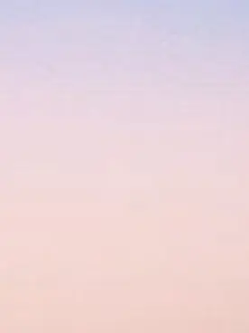 Jingburgerislove의 징버거의 연락을 받지 못했다.