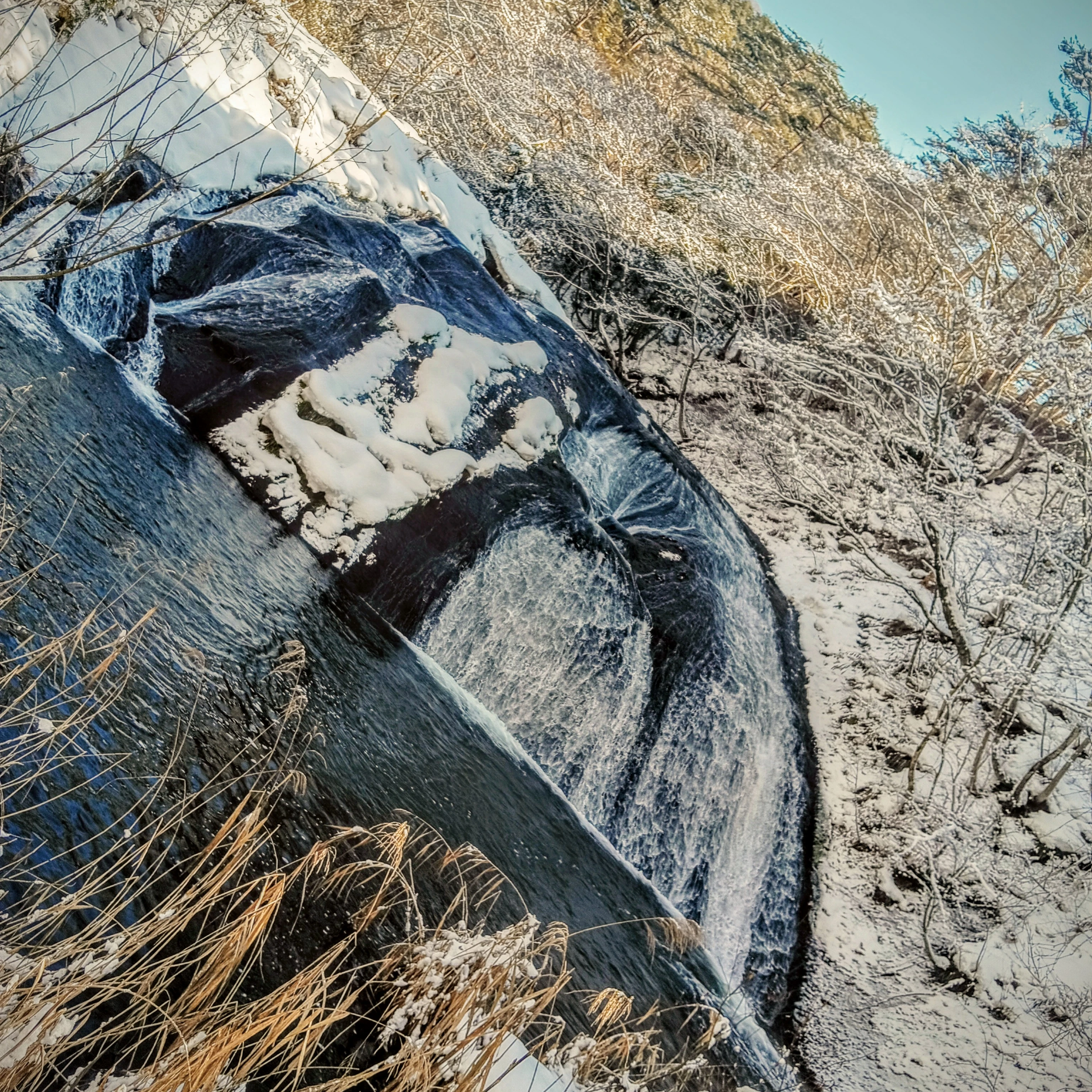 旅行に行く四人