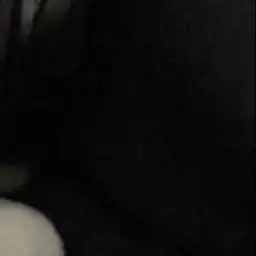 Profile image of 송다민