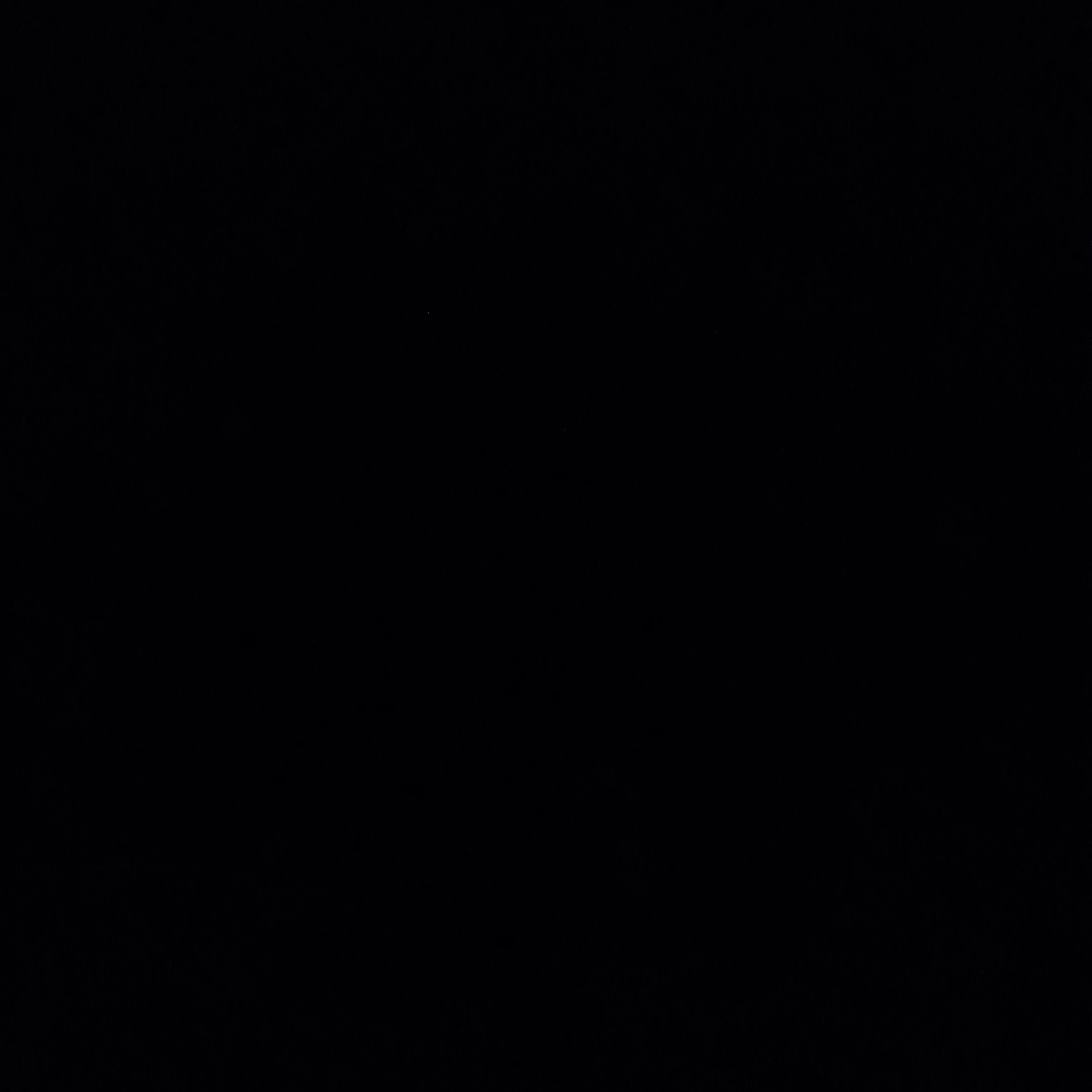 리 레볼루션