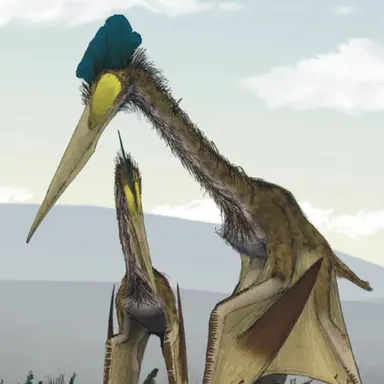 Profile image of 용족들