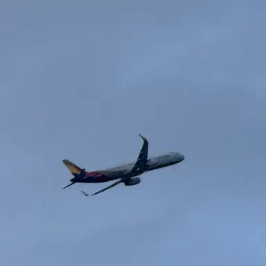 Profile image of 권지현