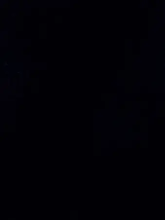 ChewyPiu8618의 가족
