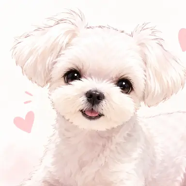 Profile image of Bori