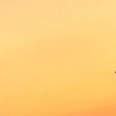 Profile image of 問