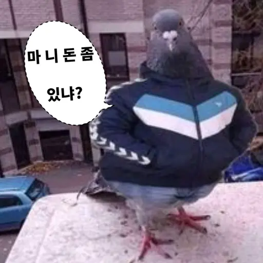 ChillyTown99999의 깡패 비둘기
