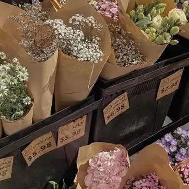 Profile image of 감재이