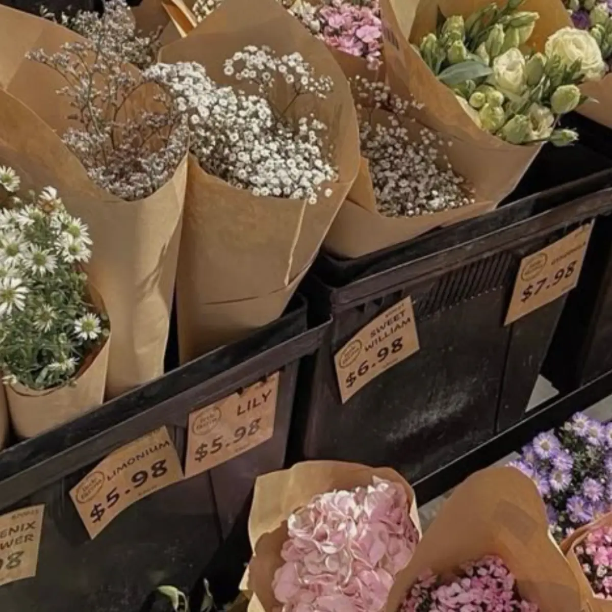 BleakYoga0962의 우연의 만남💐