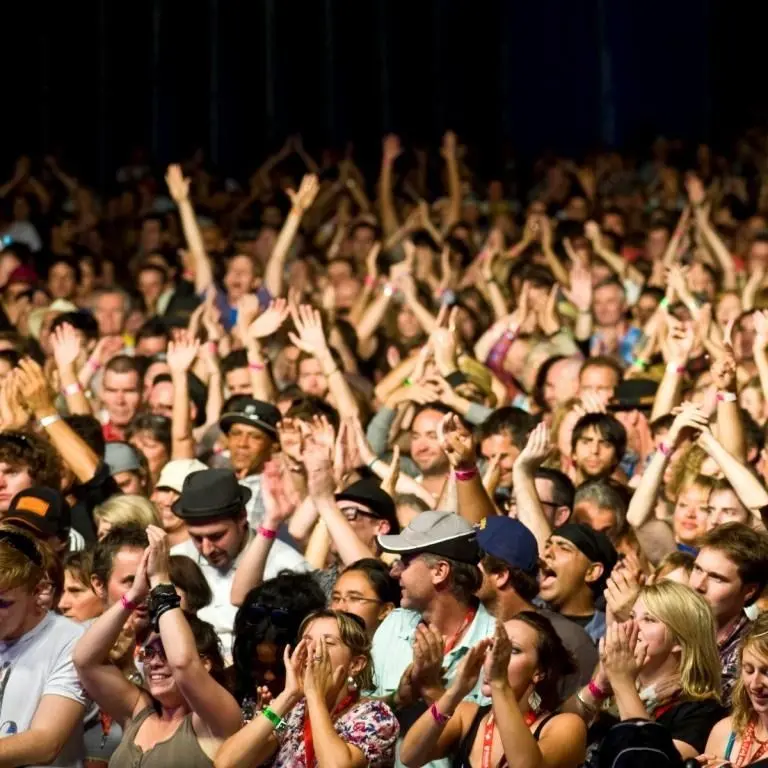 Unknownsusere의 Concert perfomer