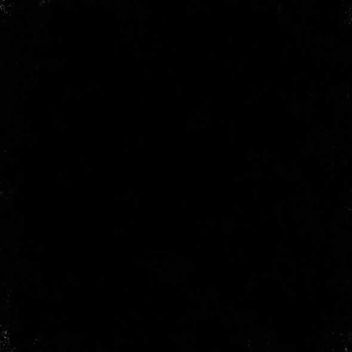 RaggedRain6024의 개인용.