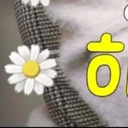 Profile image of 시노부