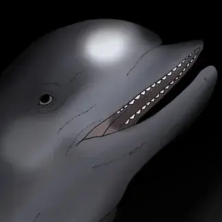 Profile image of 돌고래
