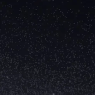 Profile image of 그리퍼