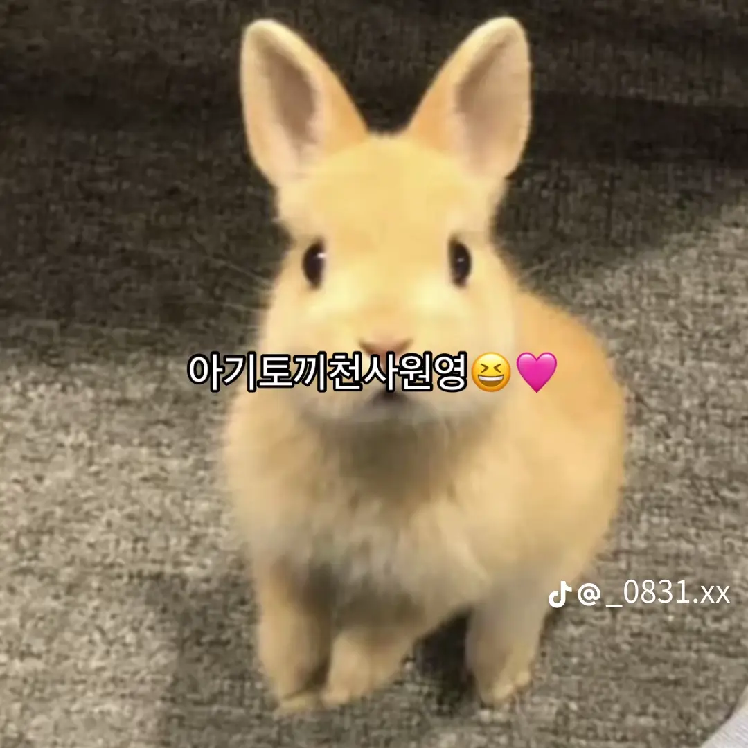Qsxcv의 원영핑