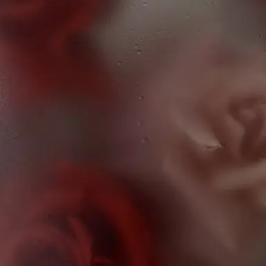 Profile image of 라더