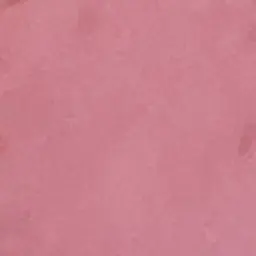 Profile image of せらみかる