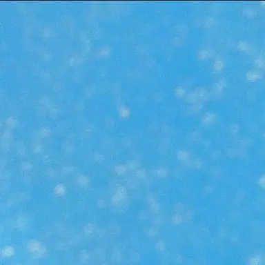 Profile image of ㅊㅇㅈ