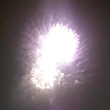 Profile image of 日本