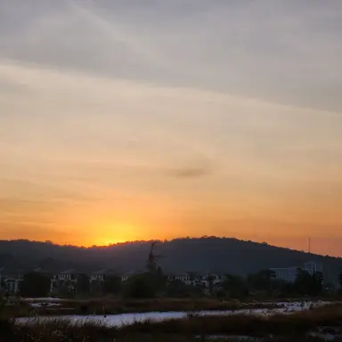 Profile image of 아이자와 쇼타