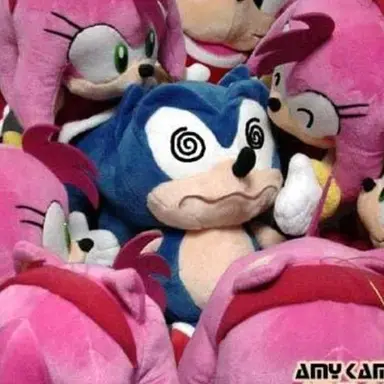 Profile image of ソニック