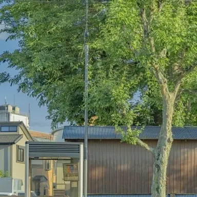 Profile image of 정형준