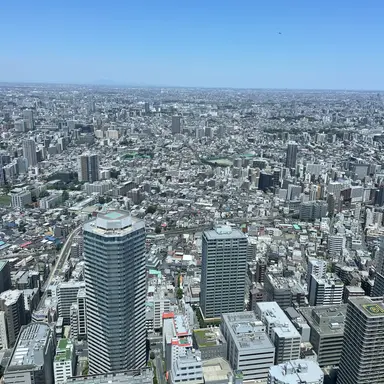 Profile image of ブリ子の下っ端