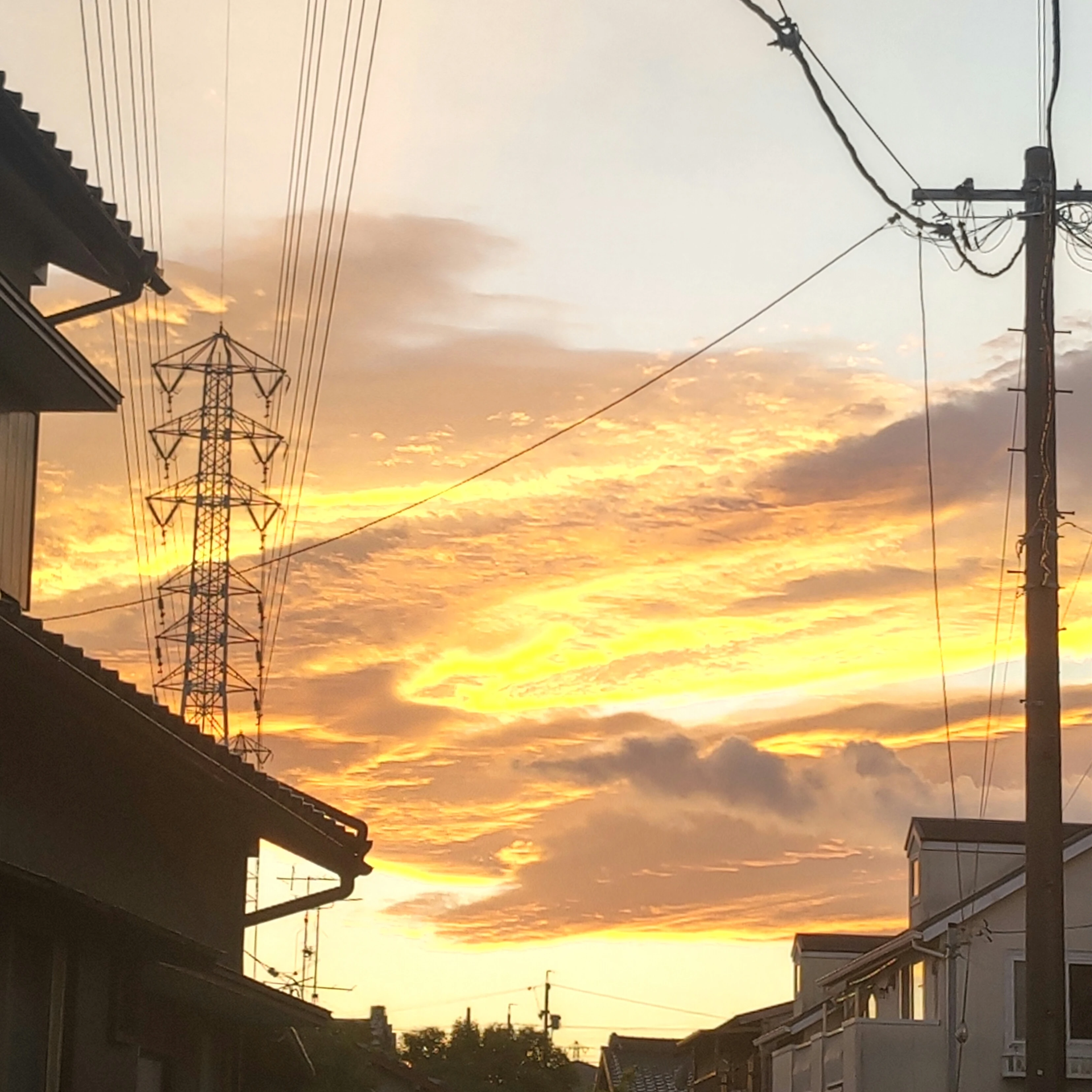 和くん