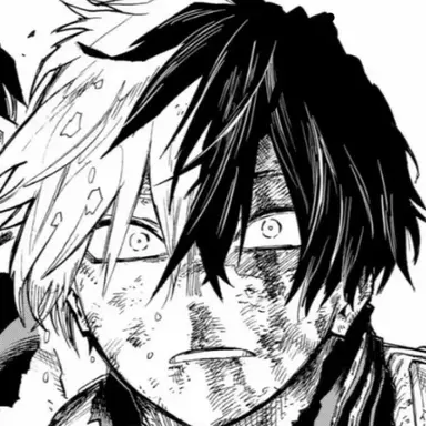 Profile image of Shoto Todoroki
