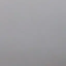 CloudyScale1914의 児相(児童相談所)