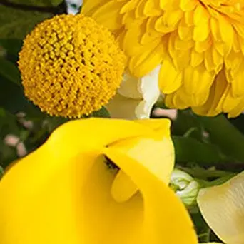 Profile image of 直哉