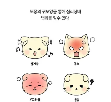 Profile image of 모몽
