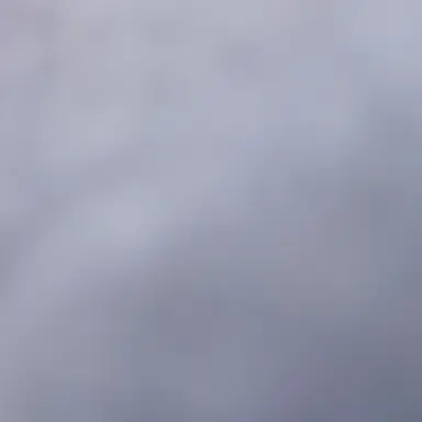 Profile image of 김 이 한