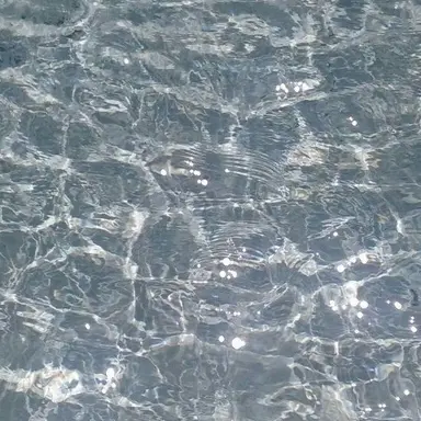 Profile image of 벨키